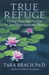 True Refuge book