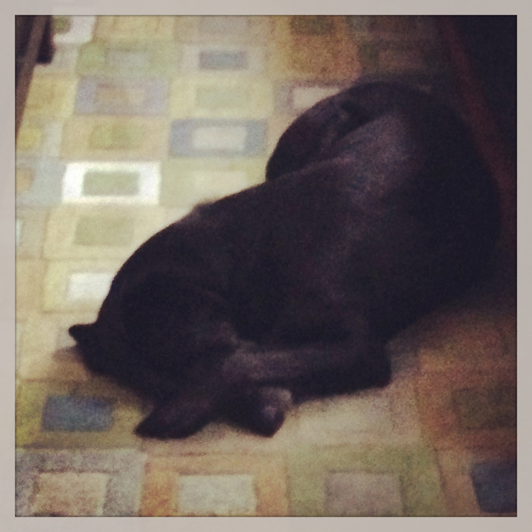 Compassion Tara Brach