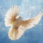 Blog: The Trance of Fear