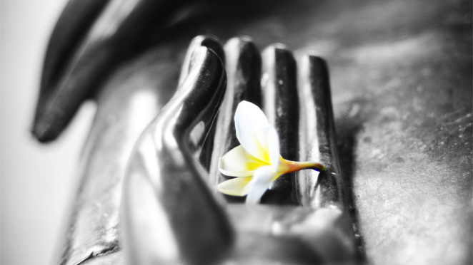 Blog: Taking Refuge in the Buddha