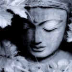 Guided Heart Meditation  – Forgiveness Practice (30:50 min)