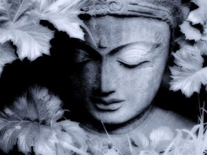 Opening the Lotus of Your Heart