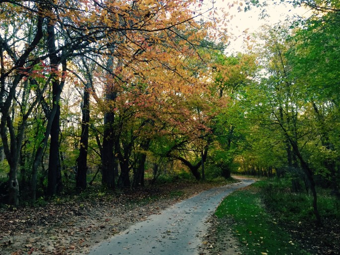 Awakening Beyond Self Tara Brach