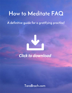 Click to Download "How to Meditation FAQ"