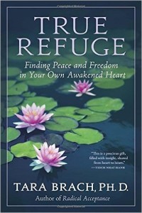 True Refuge - book image