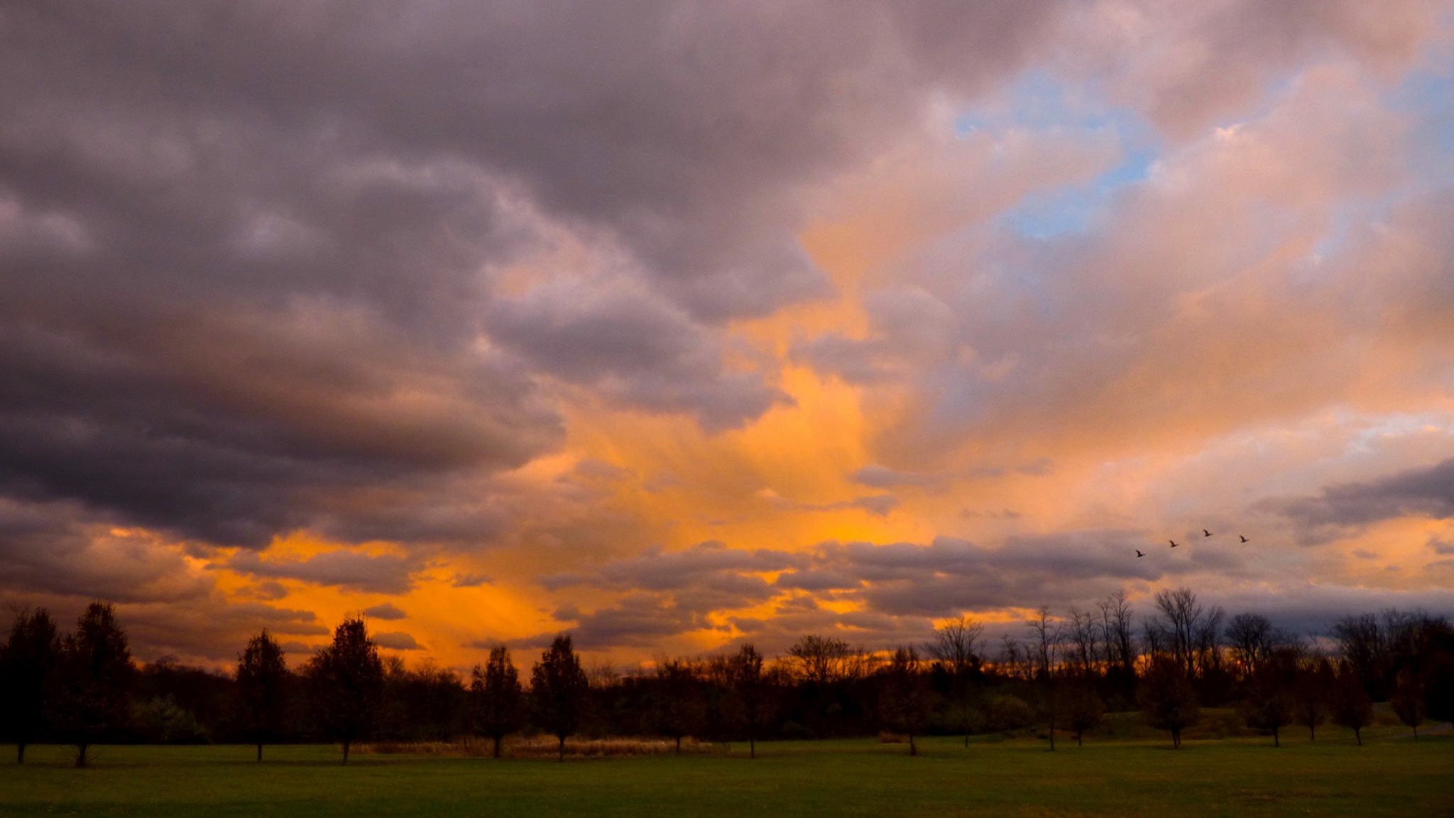 Meditation: Vipassana – Opening Our Hearts to Life as It Is (20 min.)