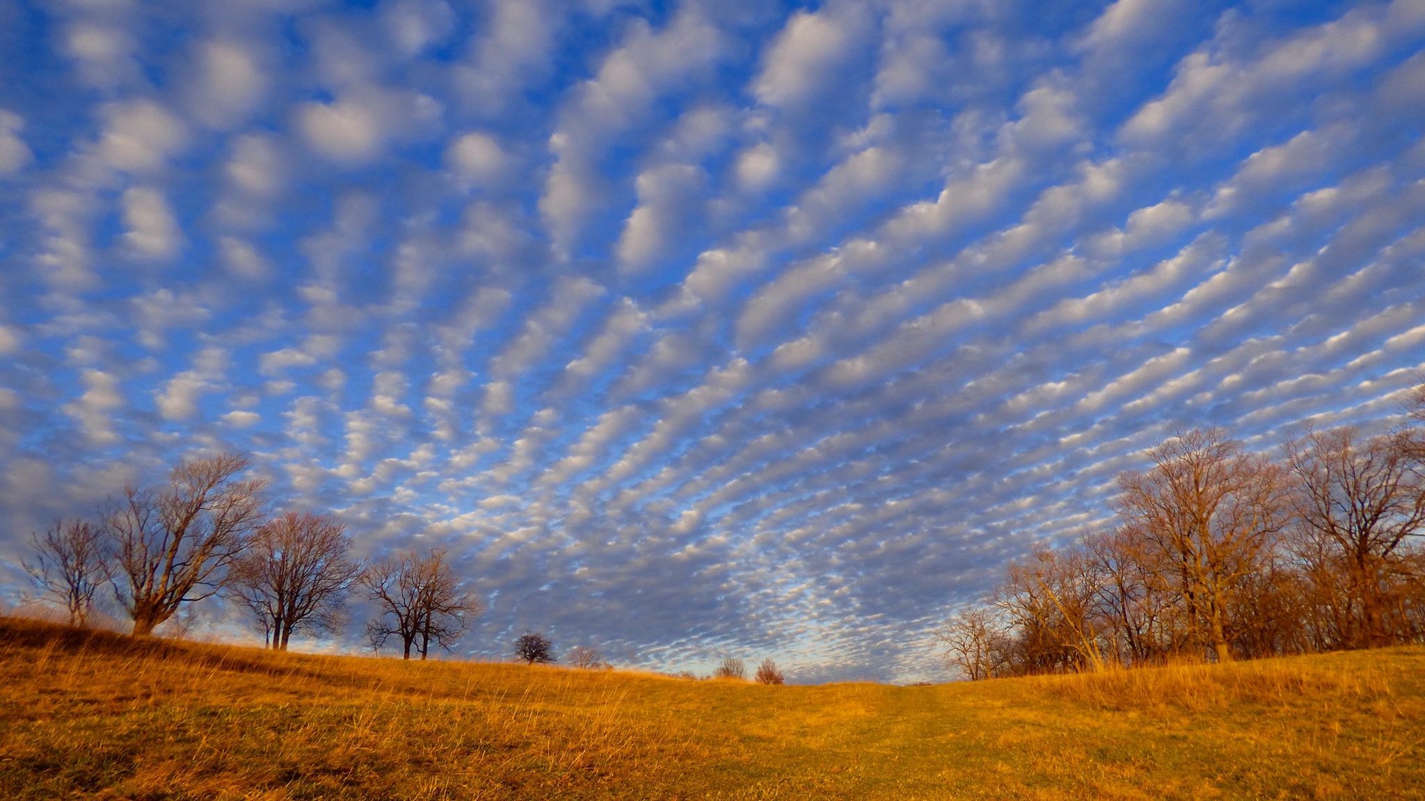 Meditation: Awake Awareness is Our Home