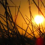 Healing Trauma: The Light Shines Through the Broken Places