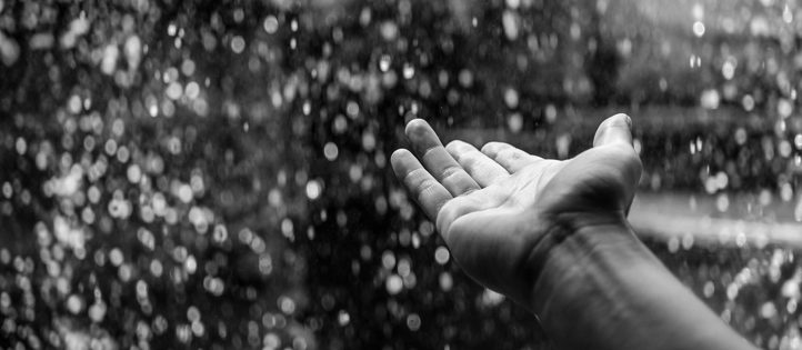 Resources ~ RAIN: Recognize, Allow, Investigate, Nurture