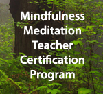 Meditation Opening And Calming 13 Min Video Tara Brach