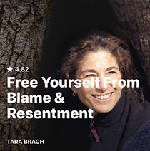 Free Yourself from Blame & Resentment - online course at Insight Timer