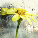 Blog: Turnung Toward Fear with RAIN