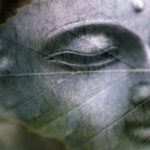 Transcript & Audio ~ Guided Meditation: The Practice of Vipassana (Mindfulness) (15:27 min.)