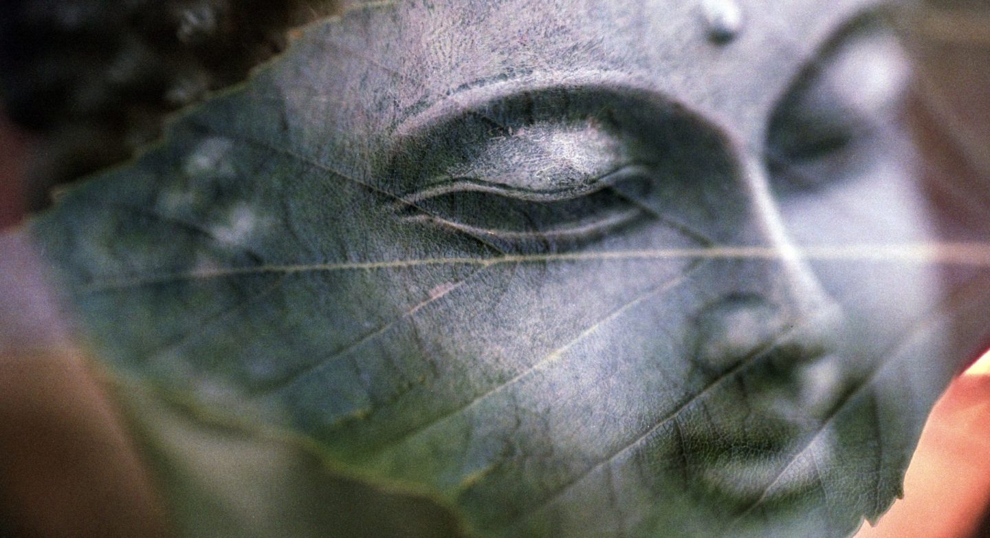 Guided Meditation: The Practice of Vipassana (Mindfulness) (15:27 min.)
