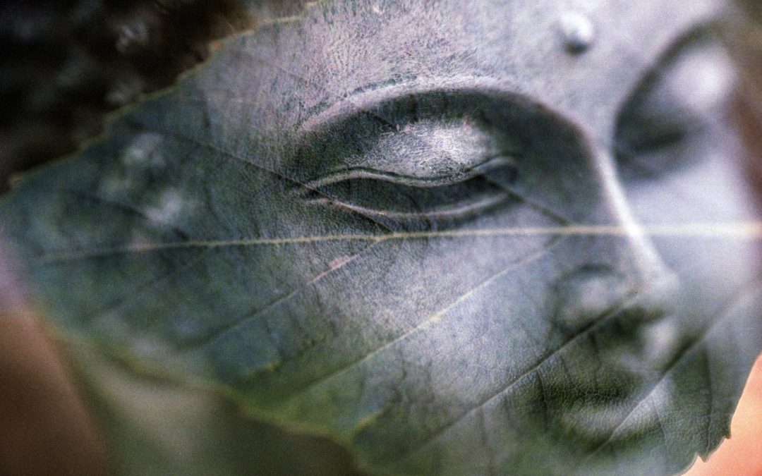 Transcript & Audio ~ Guided Meditation: The Practice of Vipassana (Mindfulness) (15:27 min.)