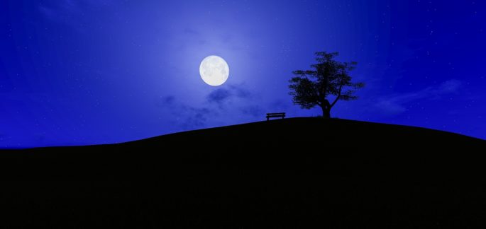 Creating a Home Retreat: Finding Freedom Wherever You Are