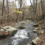 Online Courses Tara Brach