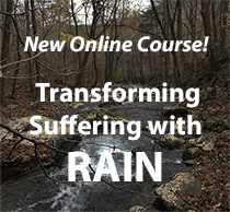 Transforming Suffering with RAIN