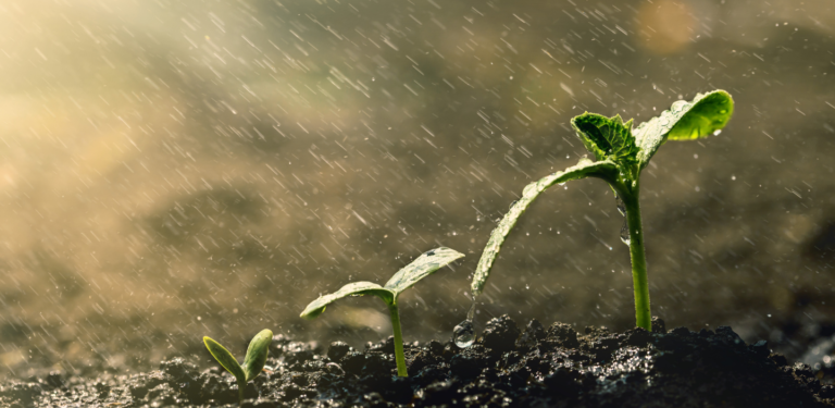 Meditation: RAIN of Self-Compassion