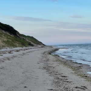 Talks Audio Video Tara Brach