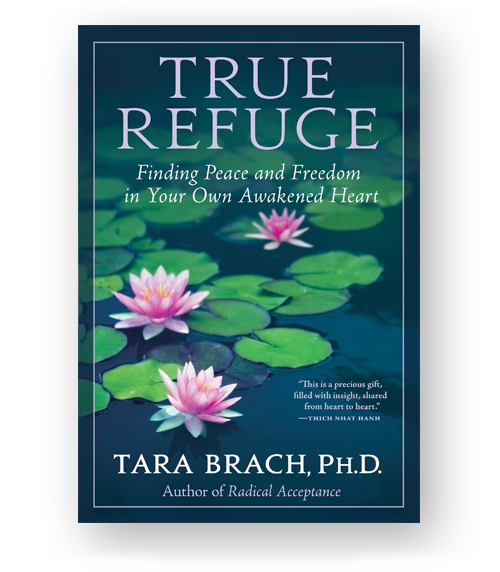 True Refuge Book Cover