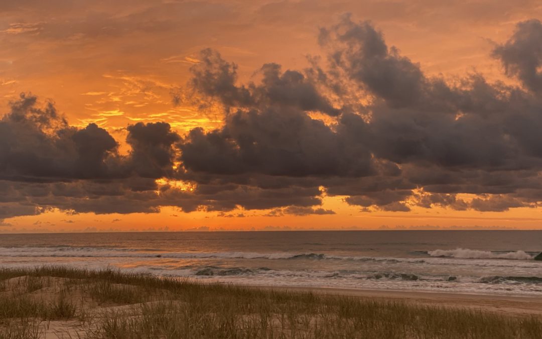 Meditation: Embodying Acceptance and Care (15:52 min.)