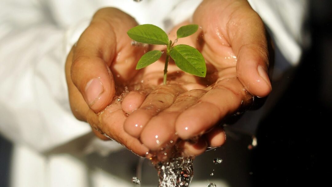 Presence and Compassion in a Violent World