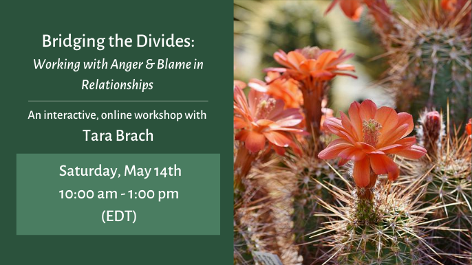 Bridging the Divides: Working with Anger & Blame in Relationships