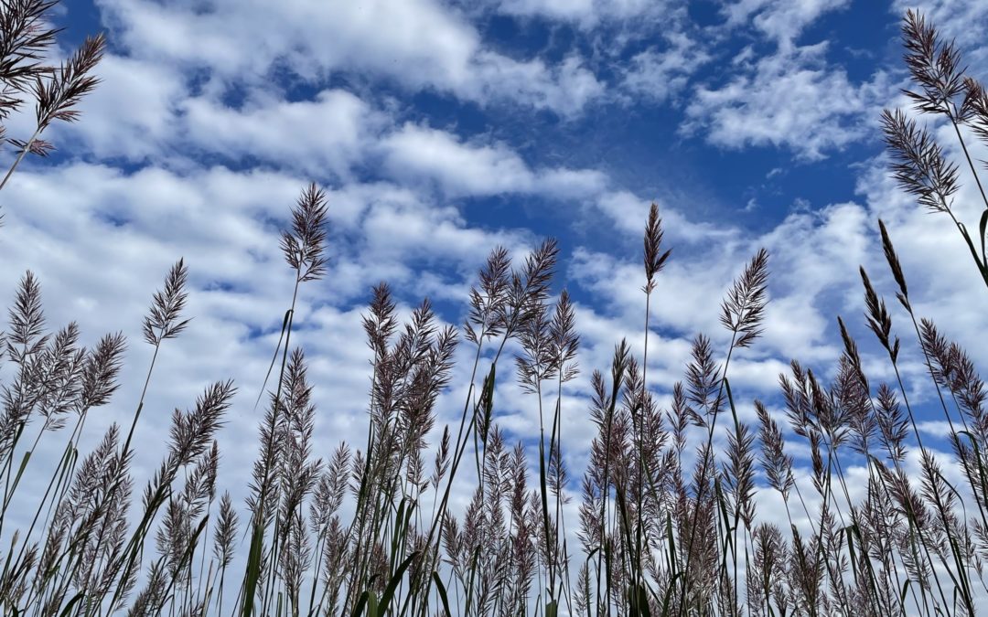 The Liberating Power of Conscious Intention – Part 1