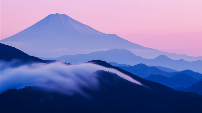 Daily Practice Guidelines: Working with Trauma and PTSD