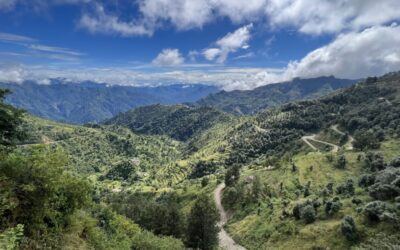 A Path with Joy — A conversation between Tara Brach and James Baraz