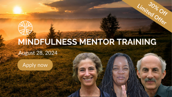 Mindfulness Mentor Training 2024