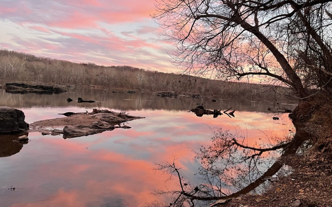 Meditation: Relaxed and Awake (16:59 min.)