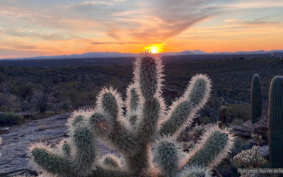Meditation: A Welcoming Heartspace (18:27 min.)