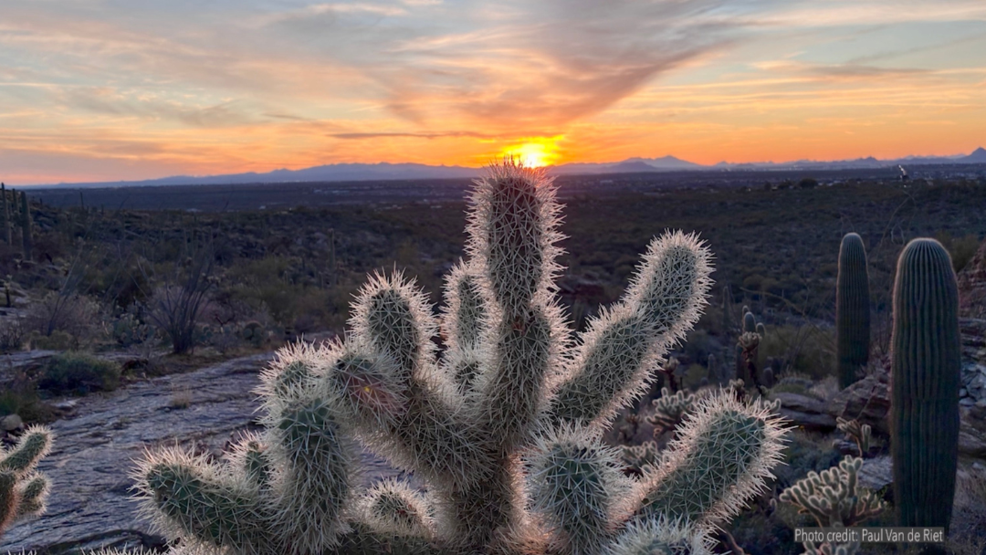 A Welcoming Heartspace