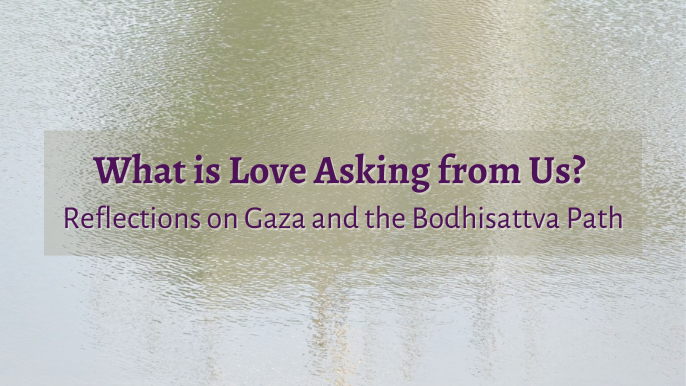 Reflections on Gaza and the Bodhisattva Path