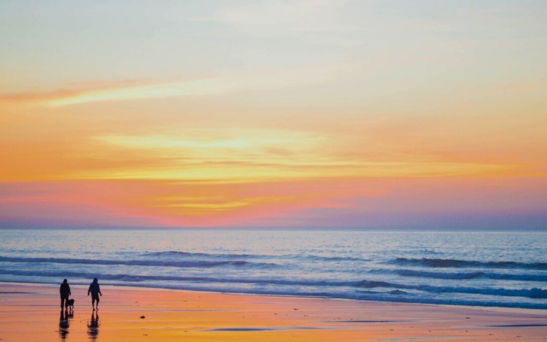 Meditation: Resting in Knowing (22:11 min.)