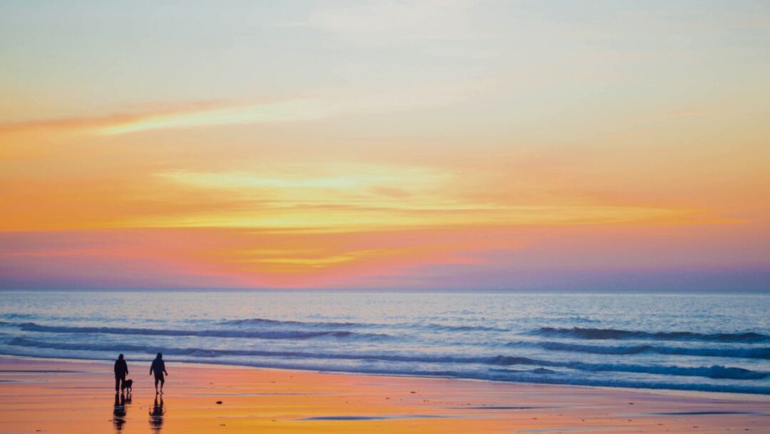 Meditation Resting in Knowing (2211 min.)