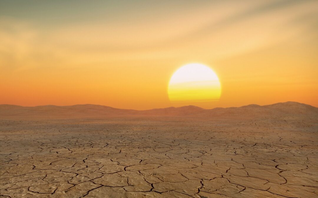 Awakening Trust in a Fractured World, Part 1