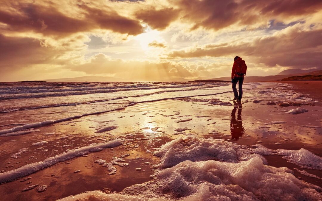 Awakening Trust in a Fractured World, Part 2