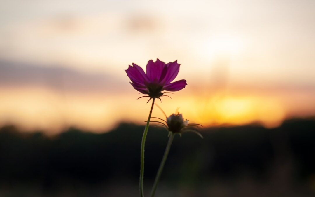 Desire and Addiction: Voices of Longing Calling You Home, Part 1