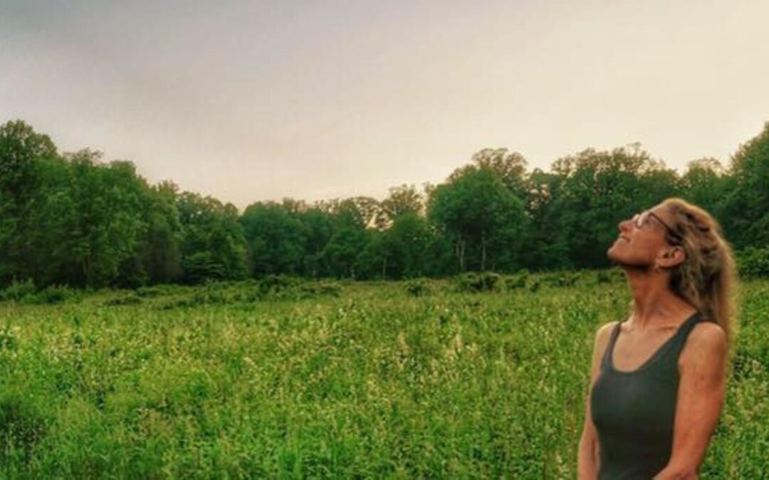 Meditation: A Relaxed, Open Presence (12:30 min.)