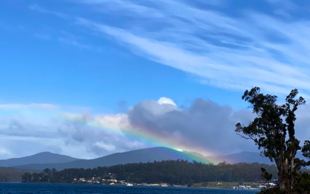 Meditation: Awakening Our Energy Body (22:19 min)