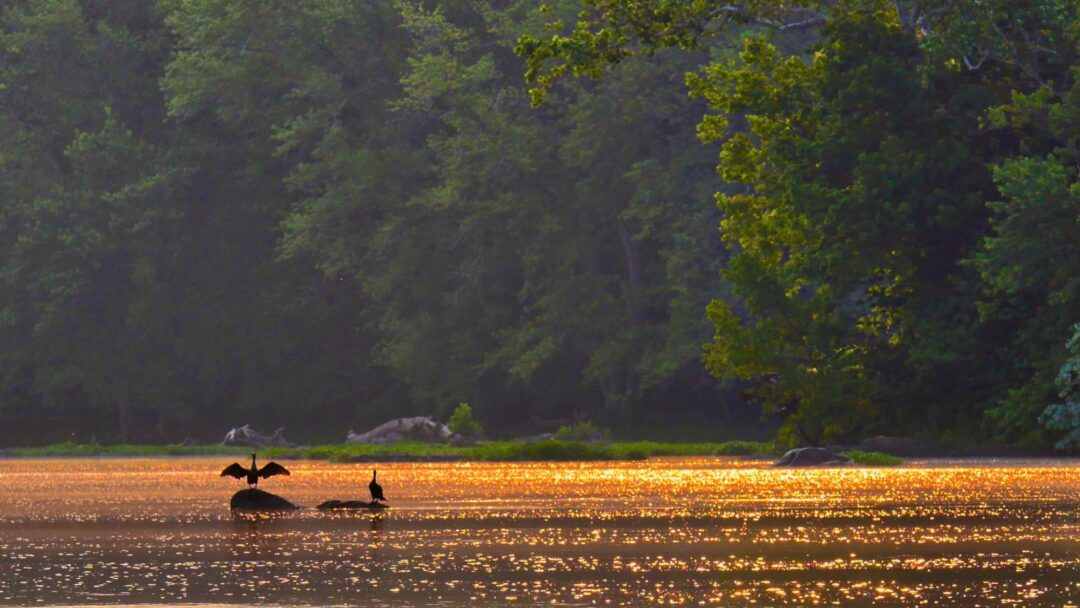 Meditation In the Body (2029 min.) Meditation In the Body (2029 min.)