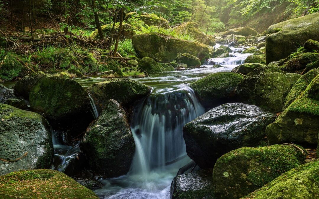 Meditation: The Blessings of Yes (20:10 min.)