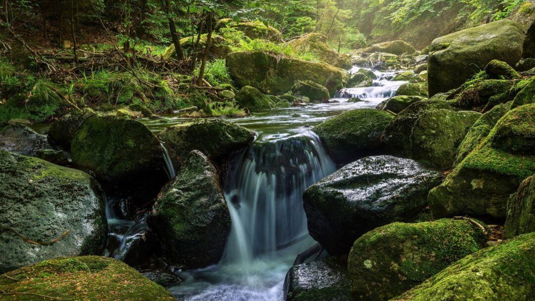 Meditation The Blessings of Yes (2012 min.)