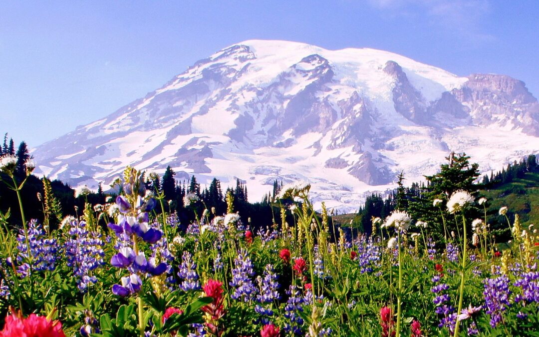 Trusting the Path: A Conversation on Refuge, Compassion, and Joy, with Tara Brach, Ajahn Kovilo and Ajahn Nisabho