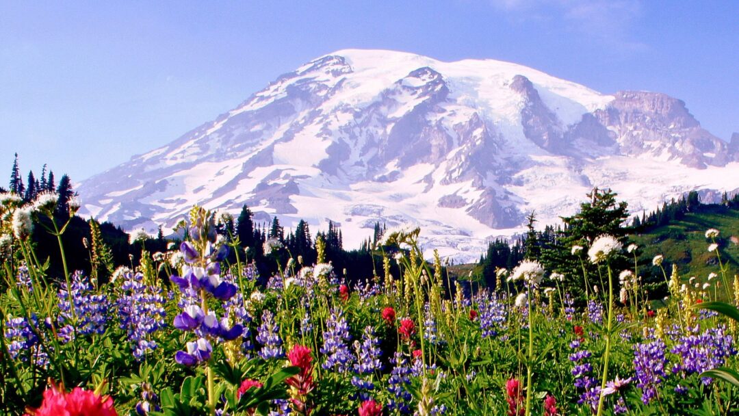 Trusting the Path – A Conversation on Refuge, Compassion, and Joy, with Tara Brach, Ajahn Kovilo and Ajahn Nisabho Trusting the Path - A Conversation on Refuge, Compassion, and Joy, with Tara Brach, Ajahn Kovilo and Ajahn Nisabho