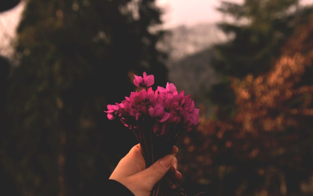 Meditation: Calling on Your Awakened Heart (25:39 min.)