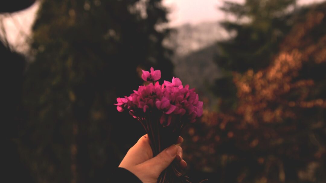 Meditation: Calling on Your Awakened Heart (25:39 min.)